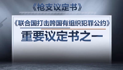 我國批準《槍支議定書》 促進控槍執法合作