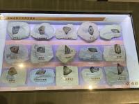 青岛科技馆国庆“大片”：展现“1+N”海洋特色新场景