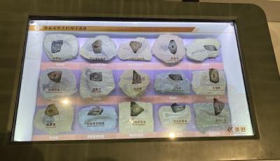 青岛科技馆国庆“大片”：展现“1+N”海洋特色新场景