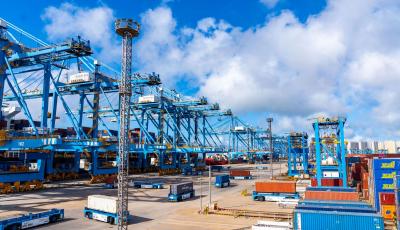 山东港口“双节”生产会战圆满收官  货物吞吐量和集装箱吞吐量量效齐增