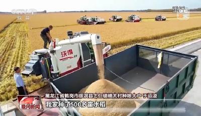 全国秋粮收获已经过三成 