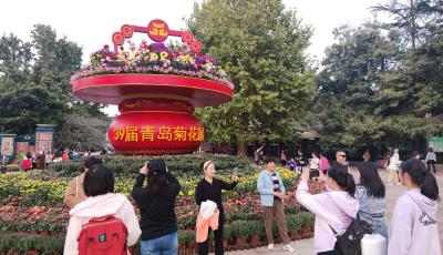 金秋十月来看菊展了！