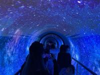 青岛科技馆国庆“大片”：展现“1+N”海洋特色新场景