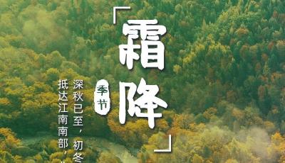 一葉知霜降！全國亂穿衣地圖看哪里一天兩季