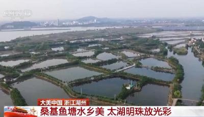 梯田峰岭稻浪滚 桑基鱼塘水乡美！农业文化遗产地焕发新生机