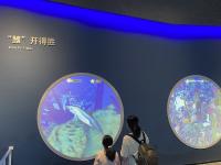 青岛科技馆国庆“大片”：展现“1+N”海洋特色新场景