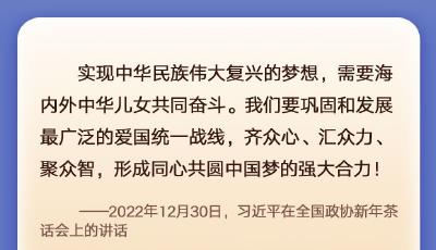 形成同心共圆中国梦的强大合力 习近平这样强调