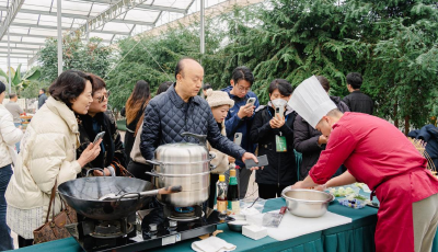 2023上合胶州大白菜国际美食文化节启动 国字号生态食材基地认证首落胶河源  