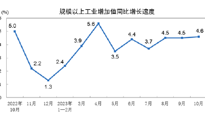 10月規(guī)上工業(yè)增加值增長(zhǎng)4.6% 汽車制造業(yè)高位再提速