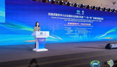 “一月一鏈”為中小企業(yè)和金融機構(gòu)“牽線搭橋”