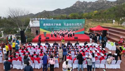 无人机“硬核”推广森林防火 青岛市启动森林防火宣传月活动