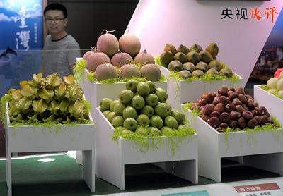 【央视快评】为壮大中华民族经济、增进同胞福祉、推进祖国统一大业作出新贡献