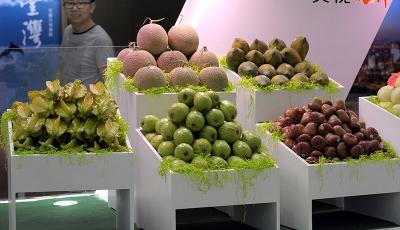 【央视快评】为壮大中华民族经济、增进同胞福祉、推进祖国统一大业作出新贡献