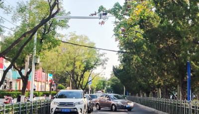 膠州1022個智慧停車泊位上線運(yùn)營