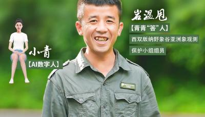 中国式现代化·青年的回答丨怎么“秒懂”热带雨林里的亚洲象？