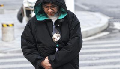 大风黄色预警  一夜入冬