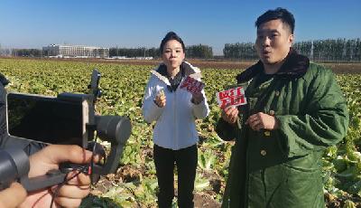 爆單了！青島“網紅天團”助農直播 一小時帶貨100余噸蔬菜