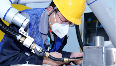 青岛：塔基人才为城市发展“打底”