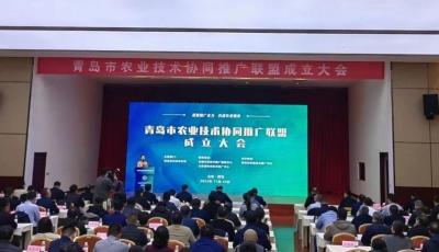 70余家產(chǎn)學(xué)研推用單位共同組建！青島市農(nóng)業(yè)技術(shù)協(xié)同推廣聯(lián)盟成立