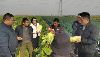 青岛“网红天团”走上田间地头 公益直播帮卖爱心菜