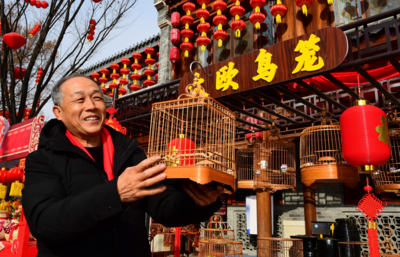 青岛即墨：黄河大集大欧鸟笼“双十一”销售火热  7年领跑手造电商品牌
