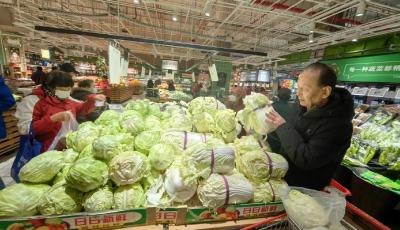 記者探訪丨冬儲蔬菜集中上市  白菜更是“白菜價”