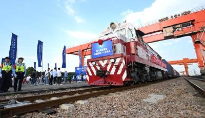 进博之约丨“四叶草”的开放协奏曲