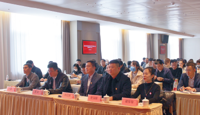 青島市棒壘球運動協(xié)會第二屆會員大會暨換屆選舉大會圓滿召開