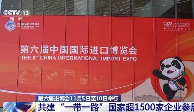 訂單太多太忙了！共建“一帶一路”國家超1500家企業(yè)參展進(jìn)博會