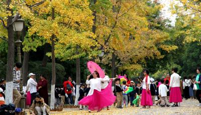 追光逐影 | 最美的青岛来了