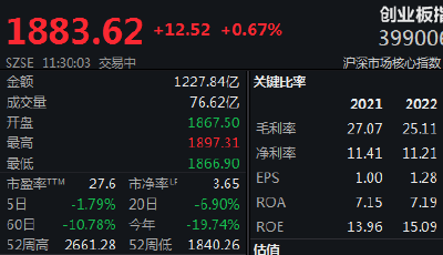 新能源率先反彈，創(chuàng)業(yè)板指領漲，滬指震蕩企穩(wěn)
