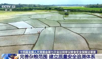 糧食安全保障法草案、慈善法修正草案關(guān)注什么？一起了解