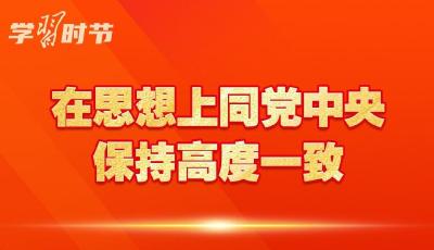 学习时节｜如何巩固拓展主题教育成果？总书记提出这些要求