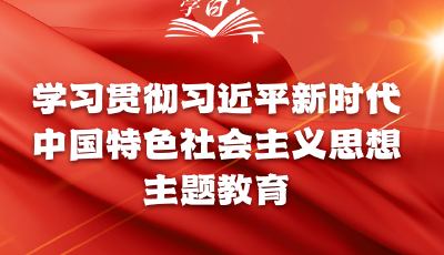 学习卡丨主题教育贯穿全年，一图全解重要知识点