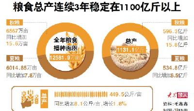 1131.1億斤！山東糧食總產(chǎn)再創(chuàng)新高 