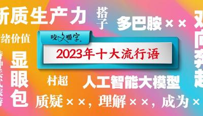 新質(zhì)生產(chǎn)力、雙向奔赴……2023年“十大流行語”發(fā)布