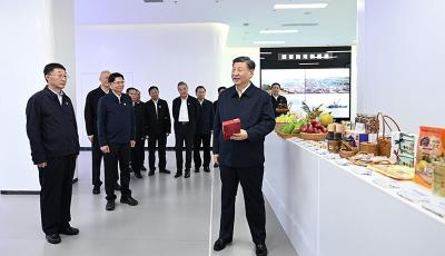 时政微观察丨“八桂飘香”的新蓝图