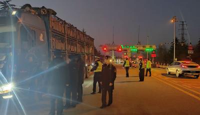 青島市多部門聯(lián)合執(zhí)法嚴(yán)查畜禽調(diào)運 保障市民“舌尖上安全”