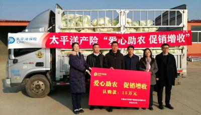 政企合力助菜農(nóng)！這場(chǎng)促銷活動(dòng)賣出1000噸農(nóng)產(chǎn)品銷售額達(dá)40萬元