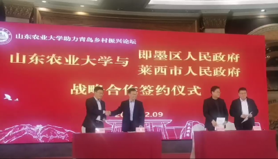 借力高校智慧 共話鄉(xiāng)村振興！山東農(nóng)業(yè)大學(xué)助力青島鄉(xiāng)村振興論壇在青舉辦