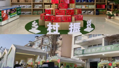 暢通城鄉(xiāng)農(nóng)產(chǎn)品銷售渠道   鄉(xiāng)村振興品牌盛典暨農(nóng)產(chǎn)品產(chǎn)銷對(duì)接會(huì)舉行