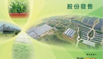 富景中國推遲上市 萊西第一股“急剎車”