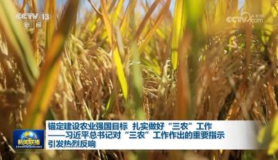 锚定建设农业强国目标 扎实做好“三农”工作——习近平总书记对“三农”工作作出的重要指示引发热烈反响