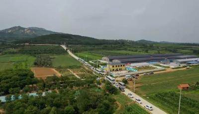 亚洲农牧基地探访：开启绿色欢乐之旅，共享生态品质好生活