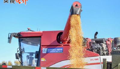 【央视快评】把推进乡村全面振兴作为新时代新征程“三农”工作的总抓手