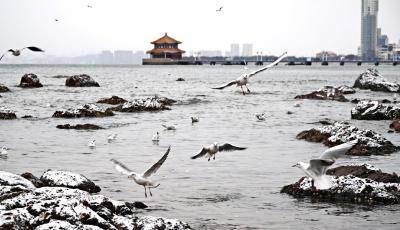 青島平度市入選2023年全國消費品工業(yè)“三品”戰(zhàn)略示范城市
