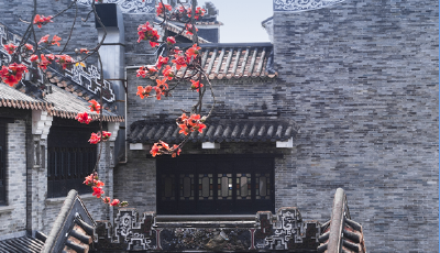 看图学习丨保护好城市历史文化遗存 延续城市文脉