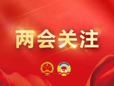 市十七届人大三次会议胜利闭幕
