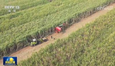 在奋进中拥抱梦想 成就未来——习近平主席二〇二四年新年贺词引发热烈反响