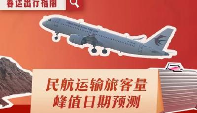 超實(shí)用！這份春運(yùn)出行指南請(qǐng)收好